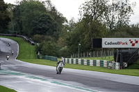 Advanced Group White Bikes